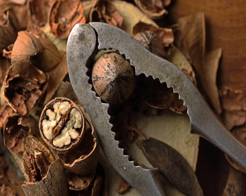 Various nuts and seeds containing omega-3 on rustic table